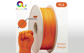 3D Printing 3D Printing